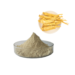 Polvo de Gnseng Panax de extracto de raíz de ginseng de grado médico/alimentario/cosmético