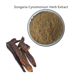 パンツエキスSongariaCynomoriumHerb Extract / Herba Cynomorii / Cynomorium songaricum Rupr 10：1 20：1