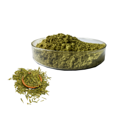 Top quality 100% natural 6 years Matcha Powder from Chin Factory