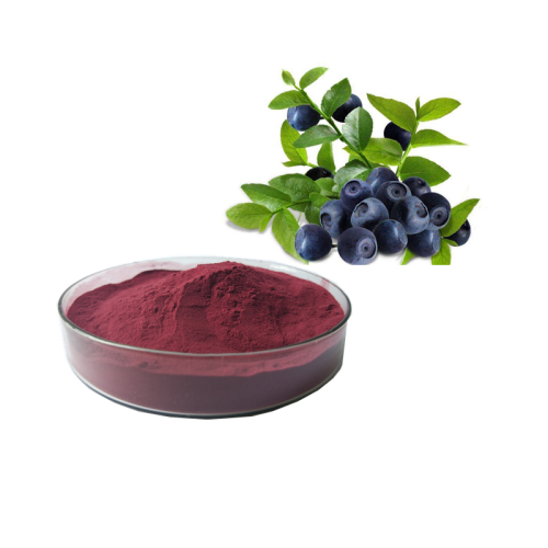 Kosher Factory herb extract Natural Acai berry Extract powder/Euterpe Badiocarpa Extract powder