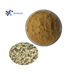 Best Price for Anti-inflammatory Theacrine Powder Tribulus Terrestris Extract Powder Saponins 90%