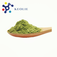 Matcha orgánico en polvo de té verde de marca privada