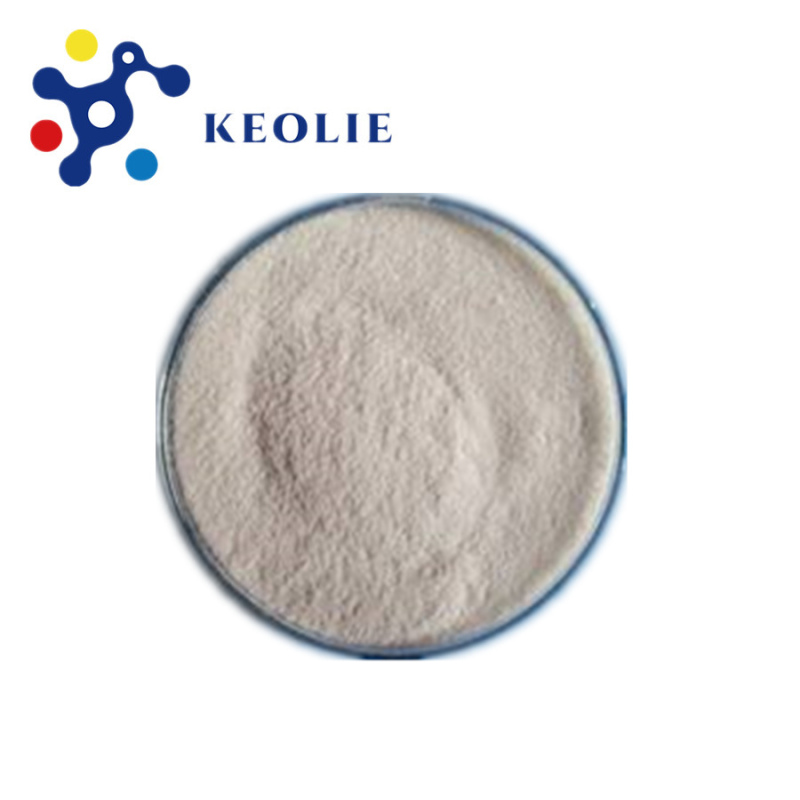 florfenicol sodium succinate florfenicol pigeon medicines raw material