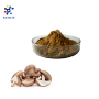 KLl Factory Wholesales Bulk chaga mushroom extract/Mushroom extract powder 10:1 20:1 polysaccharide 30%
