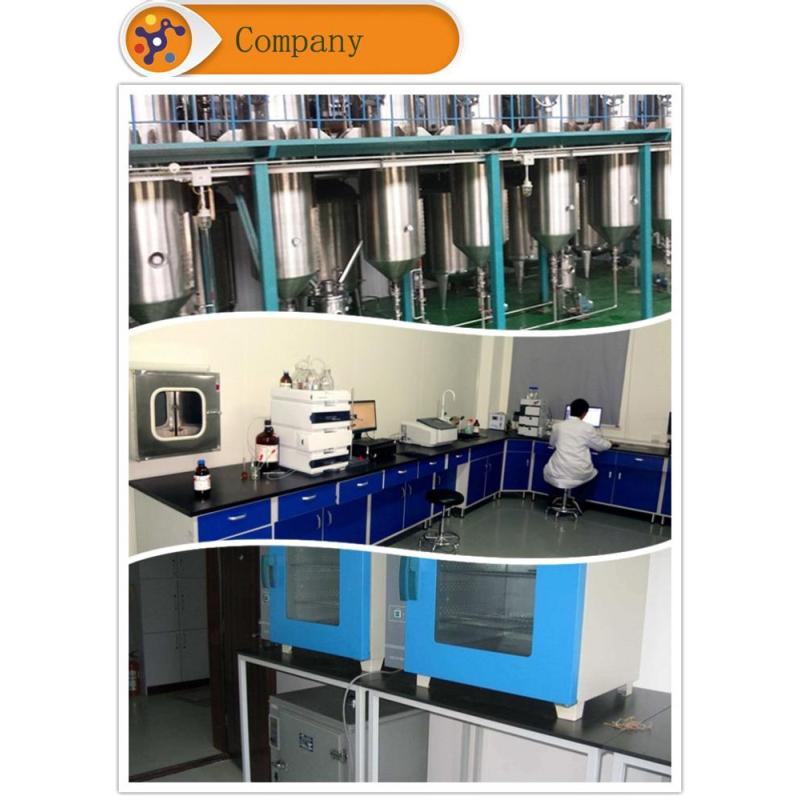 Manufacturer supply best scopolamine powder
