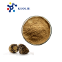Black Maca Root Extract Powder Peruvian Maca Extract 10:1 and OEM Maca Capsule