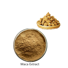 Poudre d'extrait de racine de Maca noire Extrait de Maca péruvien 10: 1 et capsule de Maca OEM