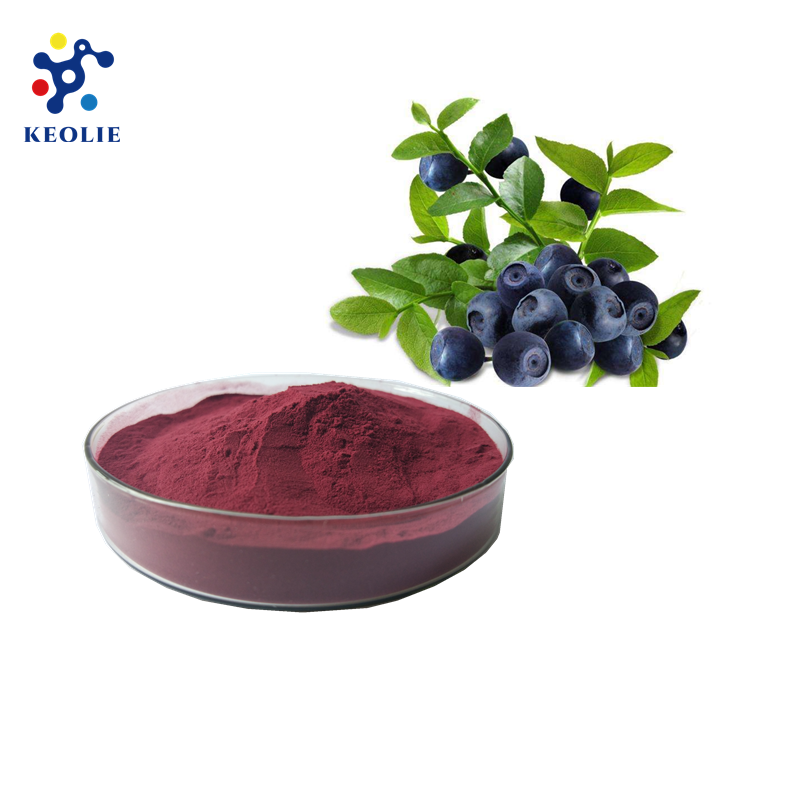 Chinese Kosher Factory Wholesales Bulk herb extract Natural Acai Berry Extract Powder 25% Anthocyanidin