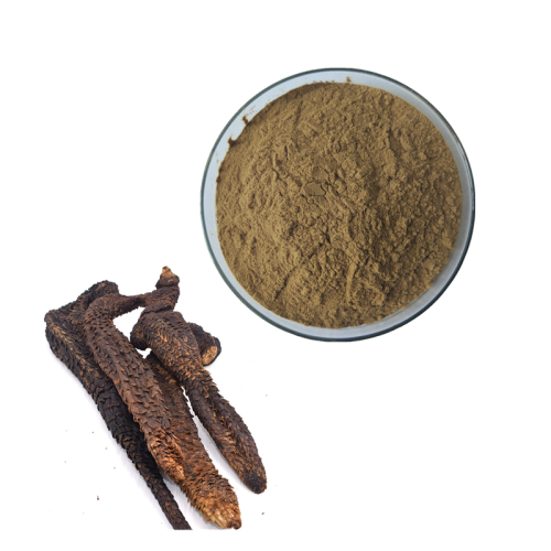 Kosher  Factory Alkali 50:1 Songaria Cynomorium Herb Extract 20:1