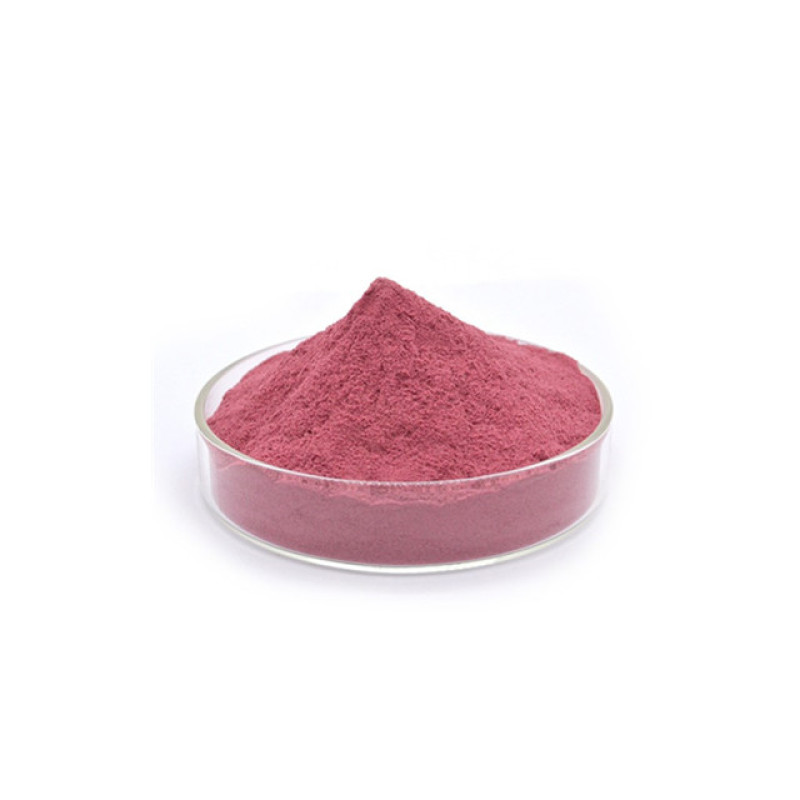 Supply 100% natural blueberry extract blueberry fruit powder
