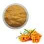Natural Fruit Flavor Seabuckthorn Berry FruitJuice Powder