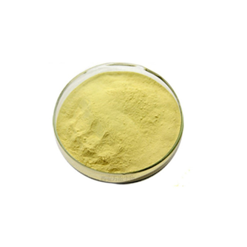 100% Natural Mango Extract Powder Mangiferin with factory price