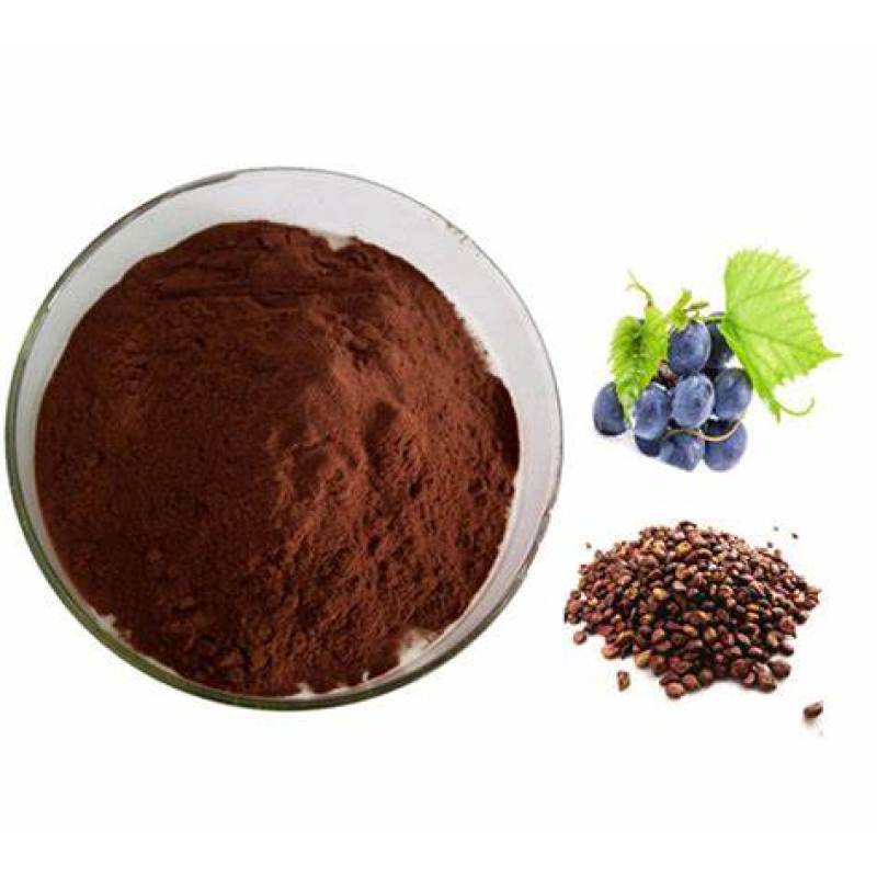 Natural Grape Seed Extract 95% Oligomeric Proantho Cyanidins(OPC)