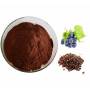 Natural Grape Seed Extract 95% Oligomeric Proantho Cyanidins(OPC)