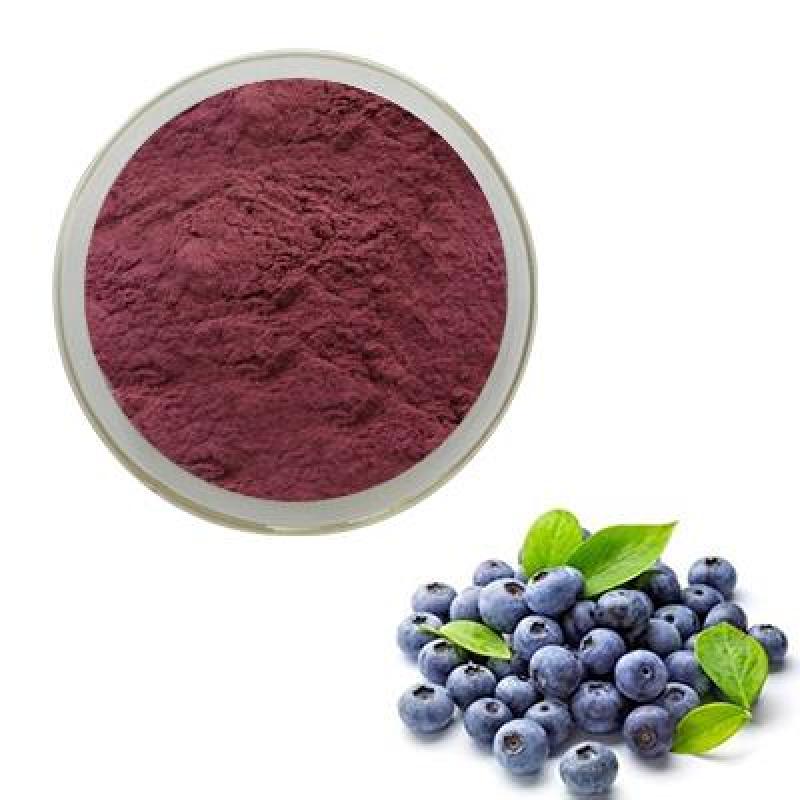 Wholesale Concentrate Wild Antioxidant Blueberry Juice Extract Powder