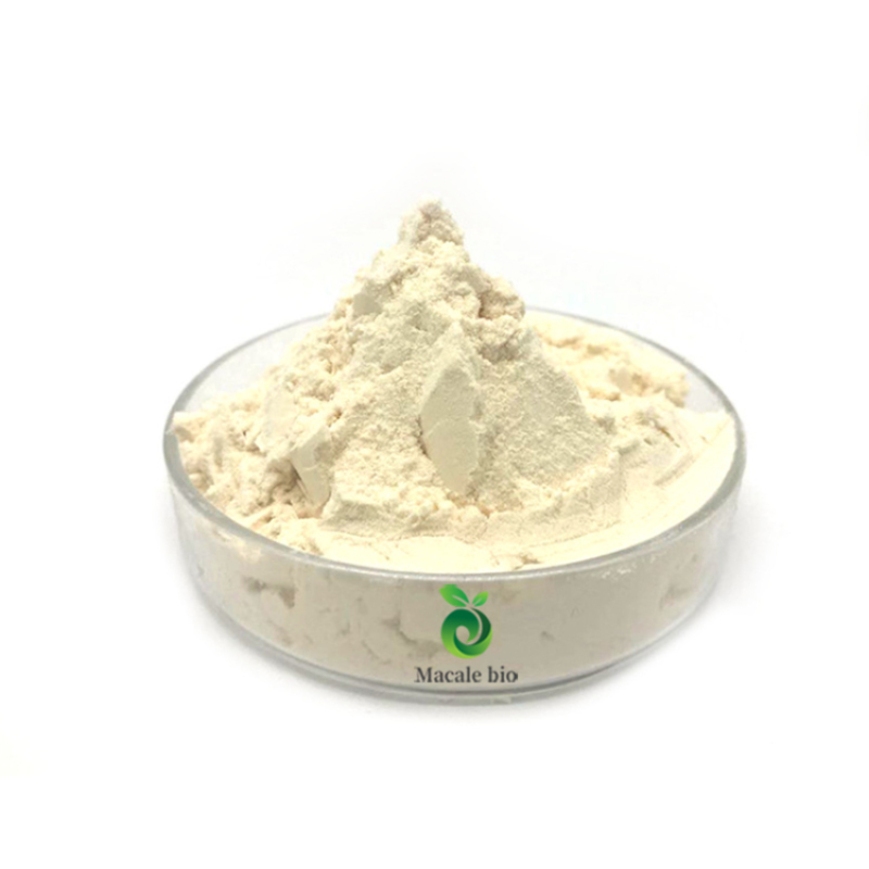 Health Supplement raw material RNA powder Ribonucleic Acid