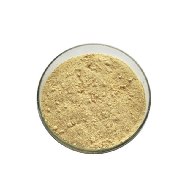 Natural soybean extract Phosphatidylcholine 90% Powder