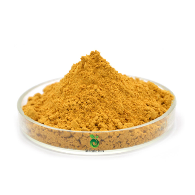 High Purity 99% Amphotericin B powder