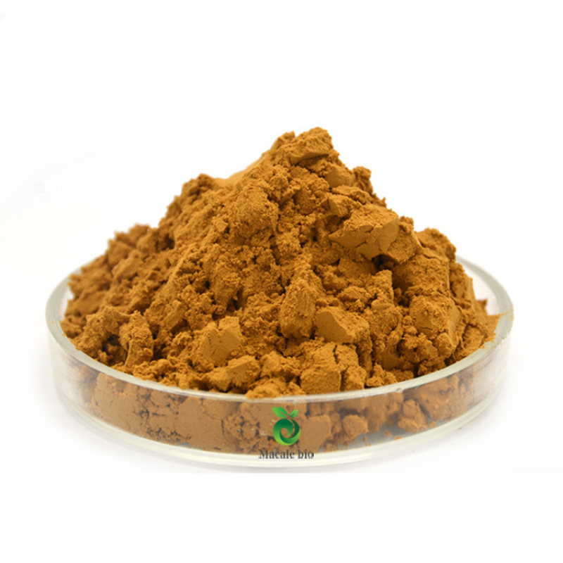 Pure natural Liver protection Dandelion Root Extract Flavonoids  5%