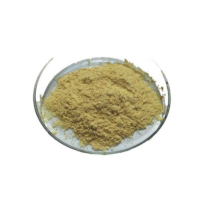 Best Price 100% Natural Milk Thistle Extract Powder Silibinin