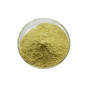 100% pure natural sophora japonica extract rutin extract powder