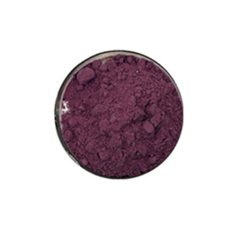 High quality natural blackcurrent fruit extract powder Anthocyanin