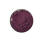 High quality natural blackcurrent fruit extract powder Anthocyanin