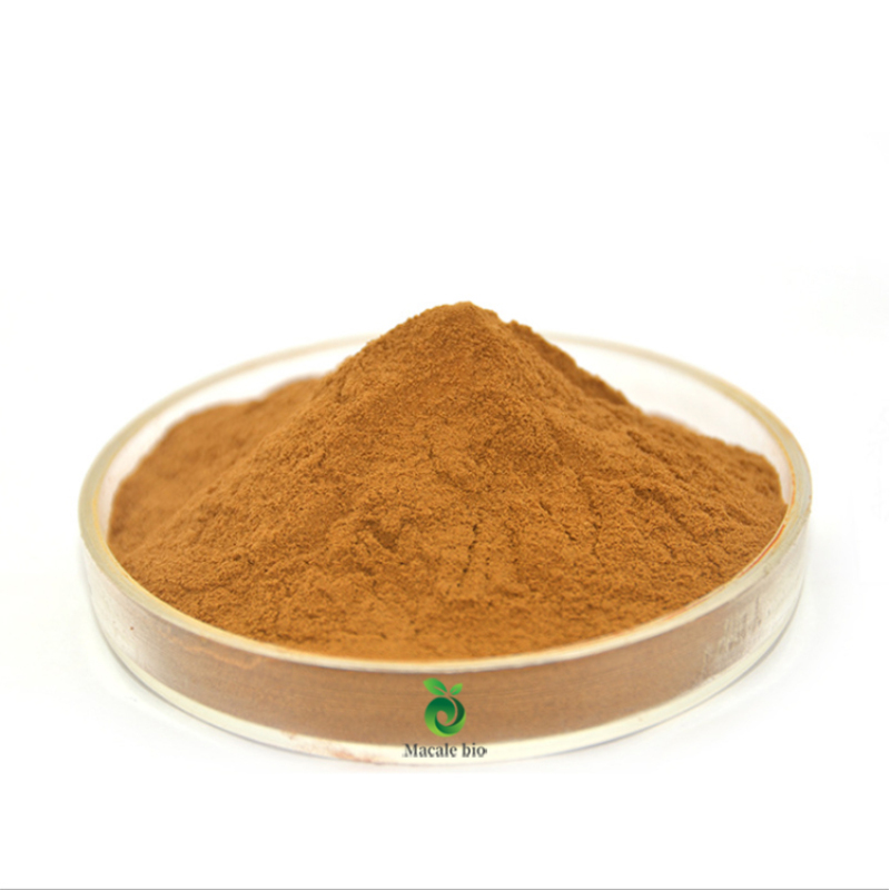Manufacturer Supply Natural maitake mushroom extract Polysaccharide 50%