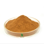 Manufacturer Supply Natural maitake mushroom extract Polysaccharide 50%
