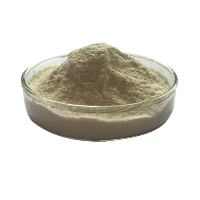 Factory Provide Hot Selling Cellulase Enzyme Price