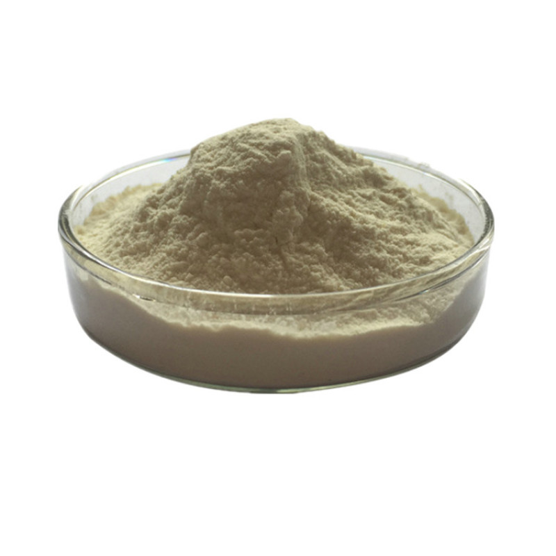 Factory Provide Hot Selling Cellulase Enzyme Price