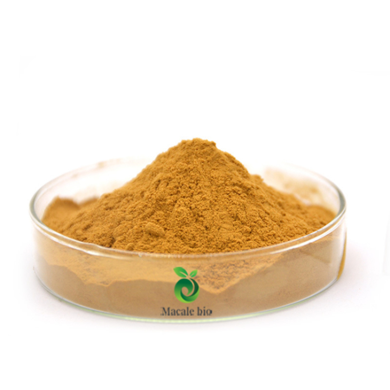 Factory supply Health care Products Passion Flower extract 4% Flavones