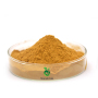 Factory supply Health care Products Passion Flower extract 4% Flavones