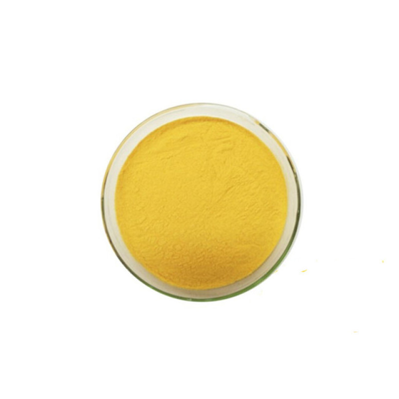 Factory supply pure natural mango powder in fruit extract mango fruit powder