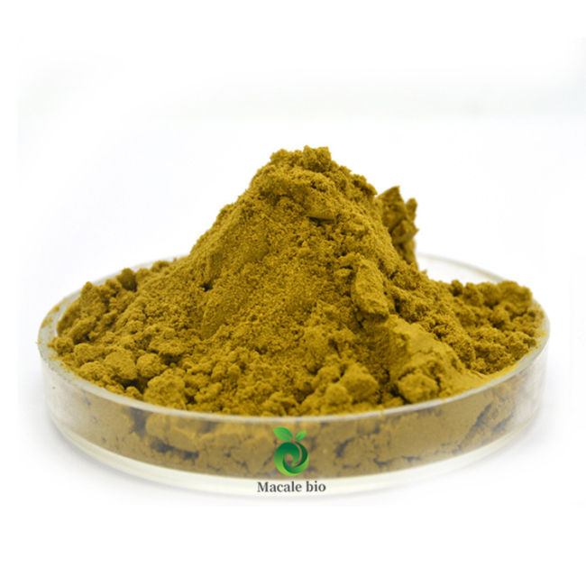 Factory Supply Green Tea Extract 95% Polyphenol,70% Catechin,50% EGCG