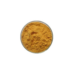 Factory supply Nutrition food supplement vitamin b9 powder