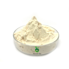 High Quality Pure Hydrolyzed Bovine Collagen peptides with factory price