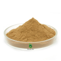 Wholesale price Natural Ginger Extract 5% 20% gingerols