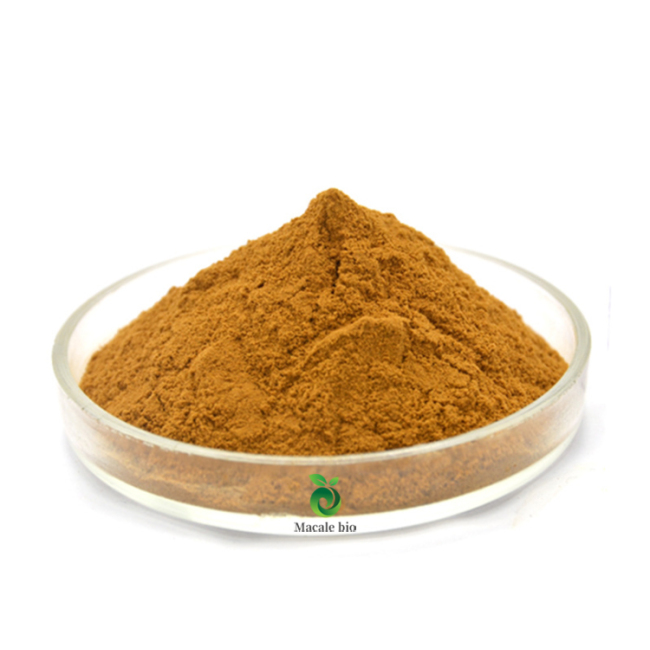 Hot sale turkey tail mushroom extract powder with factory price