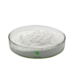 Bulk Supply Good Quality Natural Chitosan Powder Bulk Supply Good Quality Natural Chitosan Powder