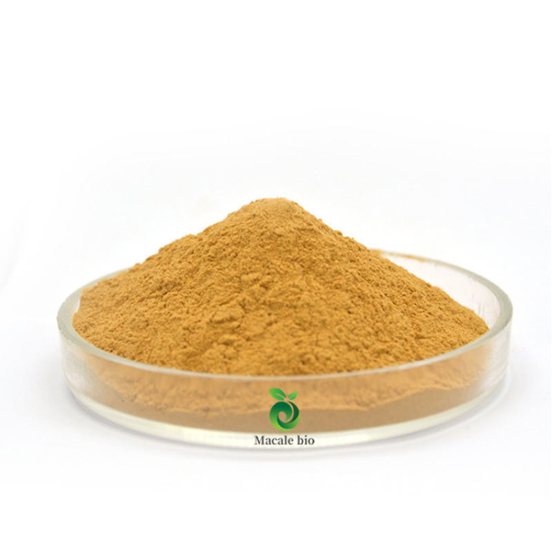 Natural Honeysuckle Flower Extract powder Chlorogenic Acid 5% 25%