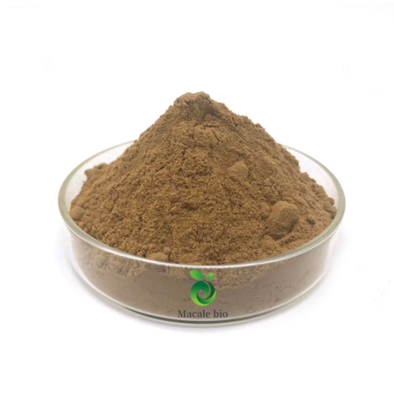 Hot Selling Bulk Natural Red Maca Root Powder Extract