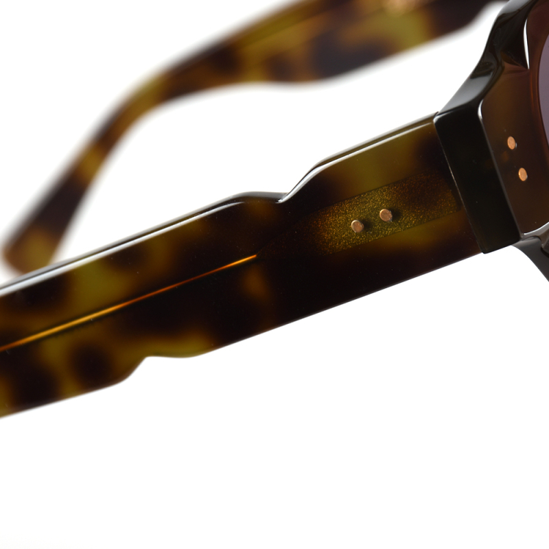 Fashionable sunglasses  glasses