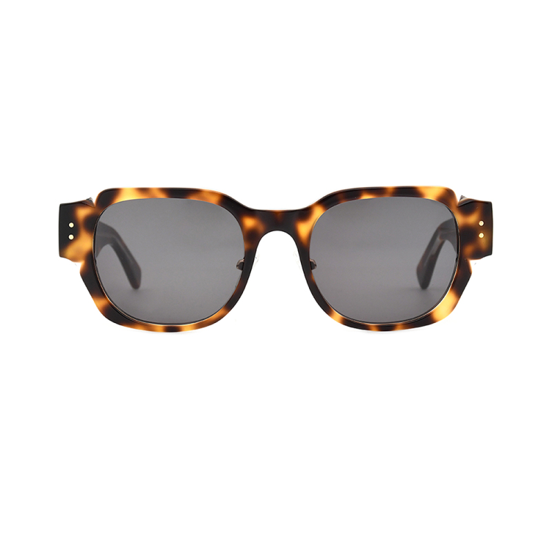 Fashionable sunglasses  glasses