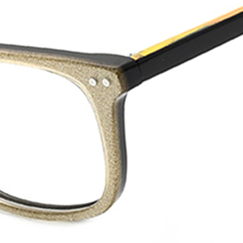 Fashionable Acetate Frames Glasses  Optical Eyewear Glasses