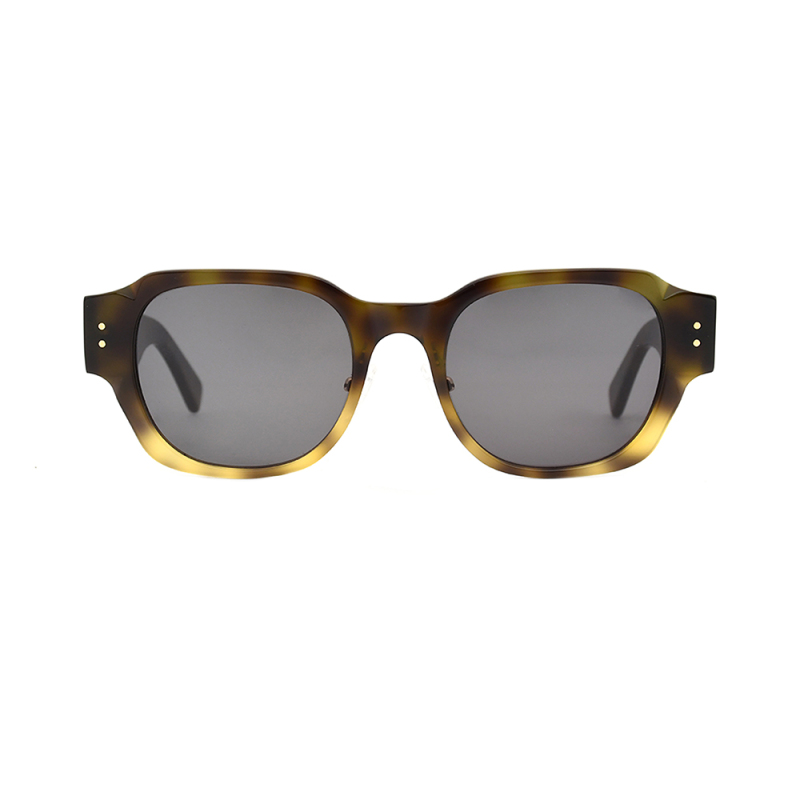 Fashionable sunglasses  glasses
