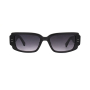 Fashionable sunglasses  glasses