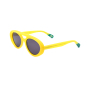 Fashionable sunglasses round glasses