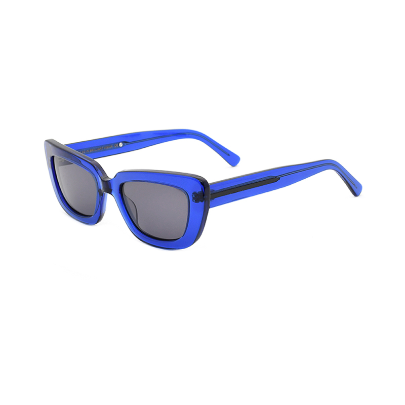 Fashionable sunglasses  glasses