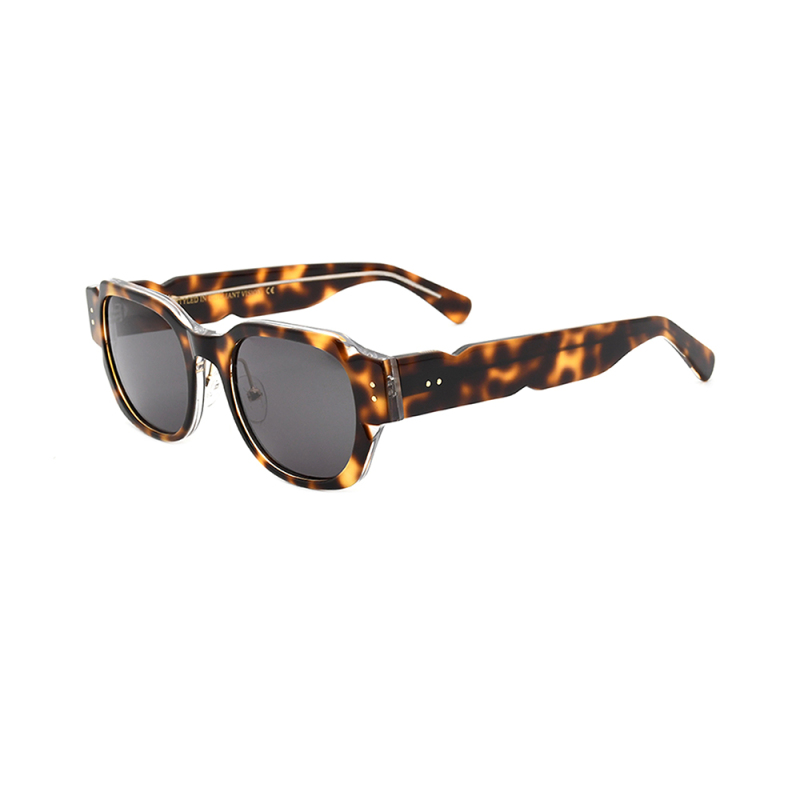 Fashionable sunglasses  glasses